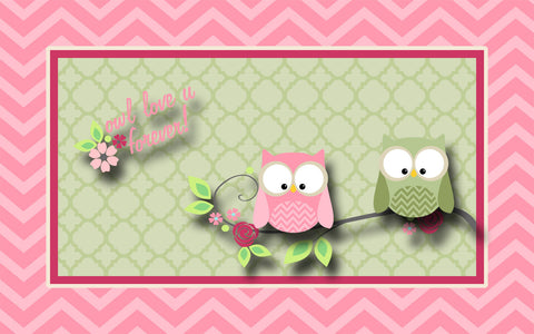 Owl Love U Forever Theme Plush Fuzzy Area Rug - Pink and Sage Green -Size 48x30, 60x48, 96x48-Other Colors available