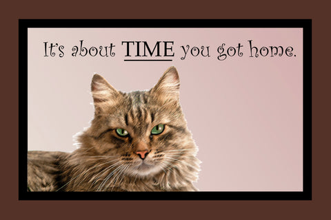 Its About Time You Got Home - Cat Door Mat - 24x18